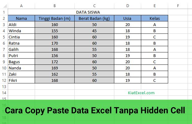 copy paste data excel tanpa hidden cell