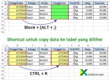 shortcut copy data ke tabel yang difilter
